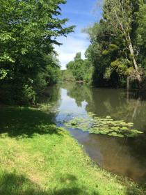 Camping de la Tête Noire