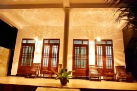 Baby Elephant Green House