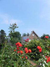 Haus *Üüs Aran* Wohnung Nr. 7