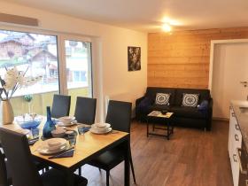 Apartments Steinbock