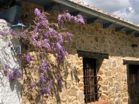 La Casita Del Castañar