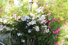 Luxury House on Buzhaka