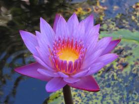 Jardines Secretos Lodge