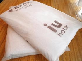 IU Hotel Chongqing Jiefangbei