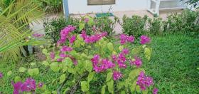 Mom's Kitchen in the Village