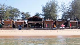 Bougainvillea Patnem