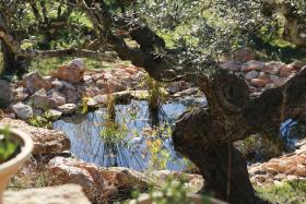 Yurta Mongola Delta del Ebro