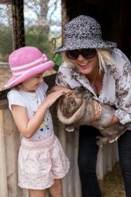 Misty Valley Country Cottages