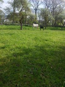 El Cajigal de Quintana