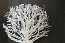 Il bosco delle torte