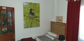 1322 Backpackers International