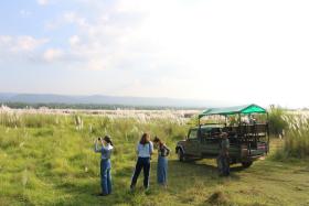 Chitwan Village Resort