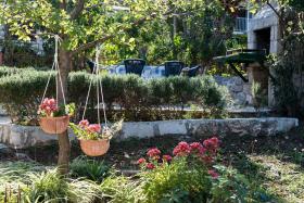 Holiday home Viki- sea view terrace