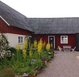 Augustas Bed & Breakfast