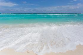 CR Large House - walking to beach - 10 guests!