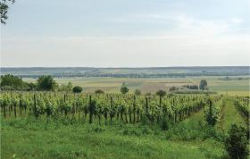 Awesome home in Deutsch Schützen w/ 2 Bedrooms