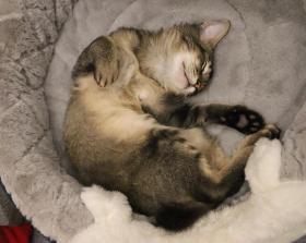 Chao Zhou Yu She Guesthouse