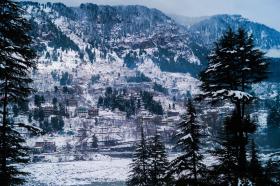 Alt Life - Manali