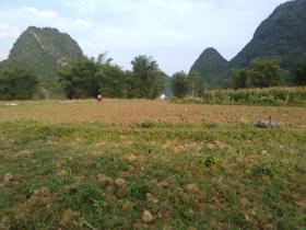 Trường Giang Bản Giốc Homestay