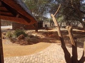 Sondela Nature Reserve & Spa Moselesele Tents