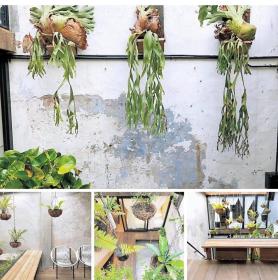 Rimba Jonker With Private Pool -10 Pax 2B/R