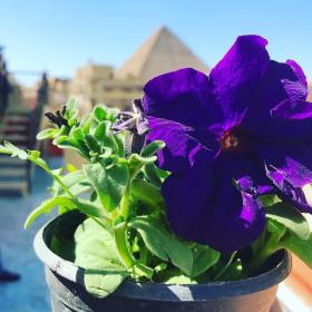 Pyramids Paradise Hotel