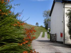 Berry Cottage - 4 Bedroom, Pet-Friendly Cottage Sleeping 8