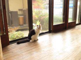 Guest house Roji to Akari