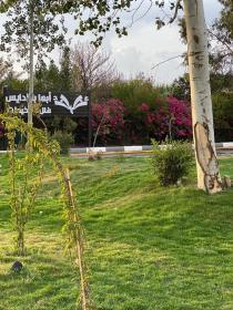 أبها بارادايس - عوائل