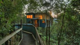 Lyola Pavilions in the Forest