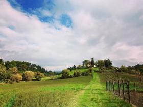 fattoria poggio di dante