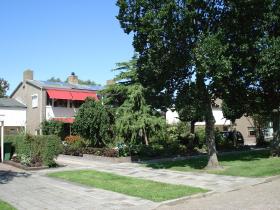 Bed and Breakfast Oosterpark