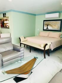 Room in Guest room - Beautiful suite with a full kitchen with amazing views of the beach, and forest