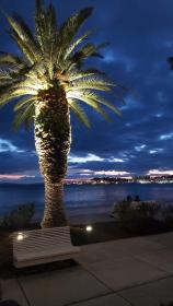 Spacious Apartment Center