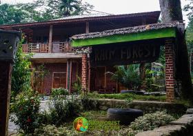 Rain Forest Guest House