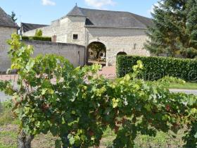 Gîte Ligré, 8 pièces, 15 personnes - FR-1-381-129