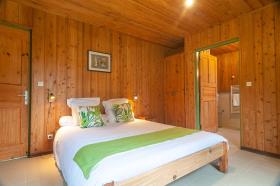 OLATIKA - Le Retour aux sources