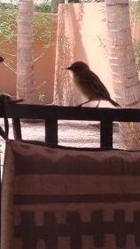 Villa de charme dans résidence de standing