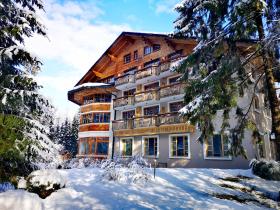 Ribno Alpine Hotel