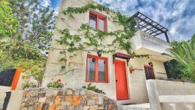 Ambience Private Junior Villa Full View for 8 pax