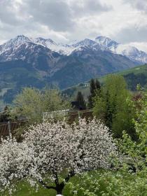 Chalet Fürth - by Four Seasons Apartments