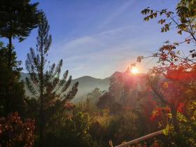 Princess of Dickoya Homestay