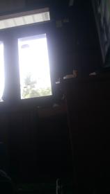 Mohd muhsin bin said