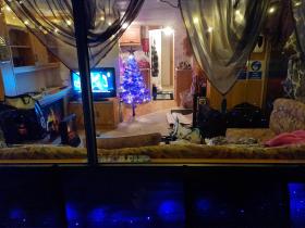 Cosy static caravan on East Mersea Island