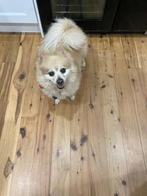 Kookajong Guesthouse