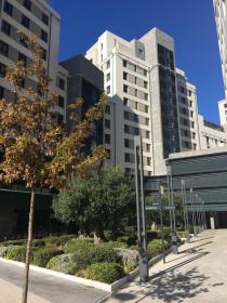 Luxurious central apartment with pool