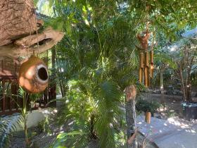 Les hamacs aux Saintes