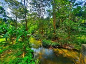 Shaggy's Nature Lodge