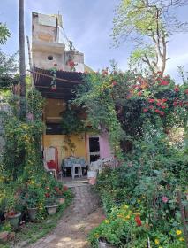 Zorba The Buddha Home Stay