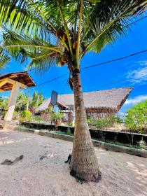 Asha Beach By Moonstone